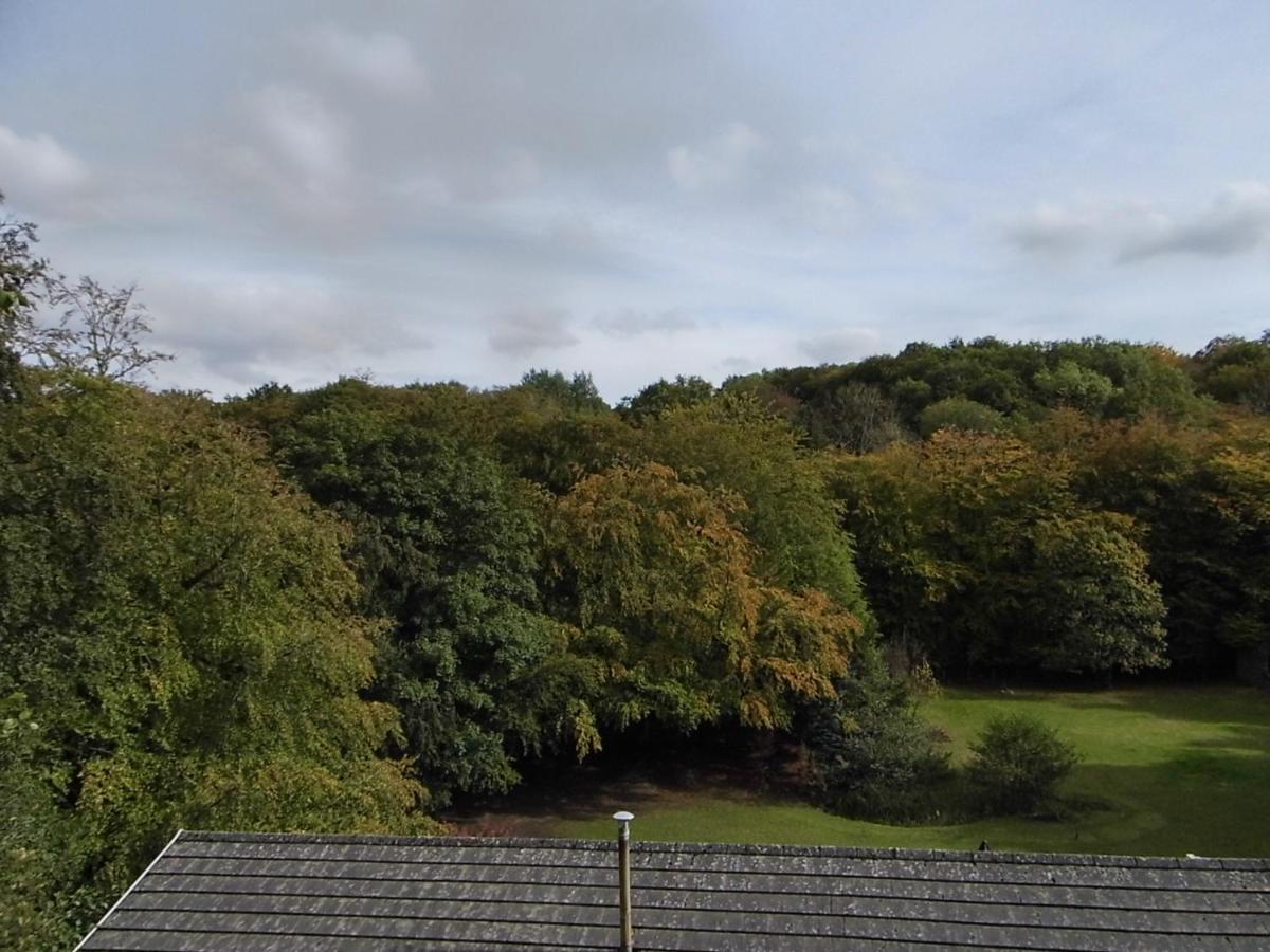 The Mill At Glynhir *